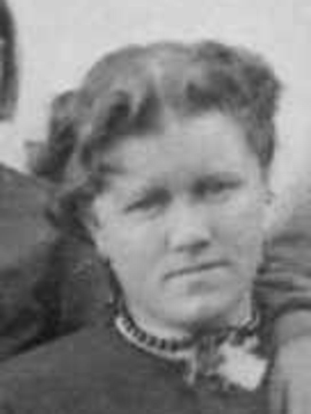 Sophia Ann Geary (1853 - 1934) Profile